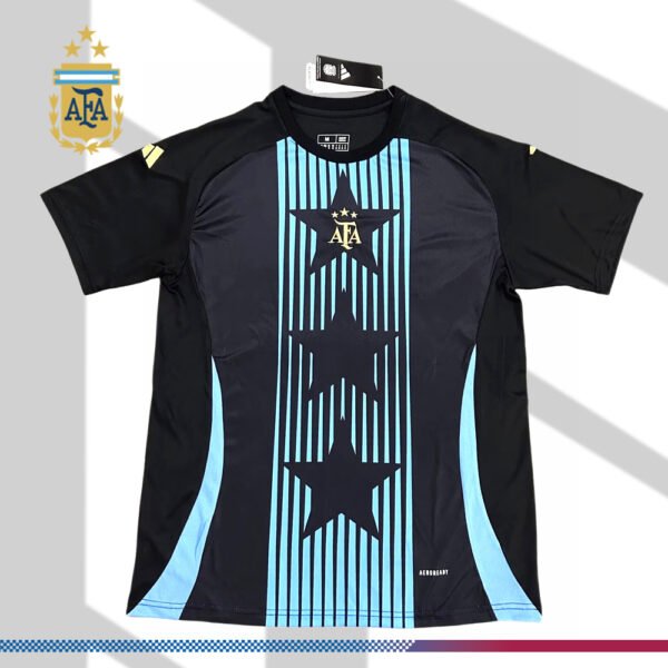2024/2025 Argentina Pre-match Training Football Shirt (Fan Edition)